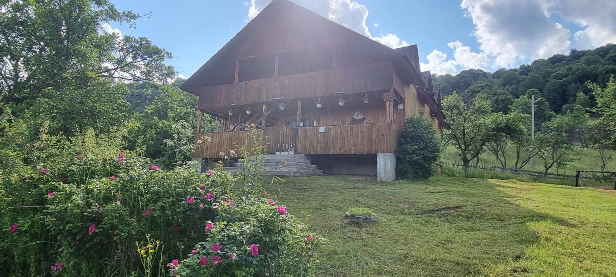 Villa Cabana Suciu Rachitele Exterior foto