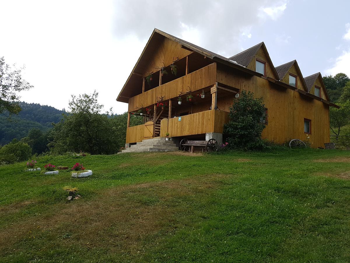 Villa Cabana Suciu Rachitele Exterior foto
