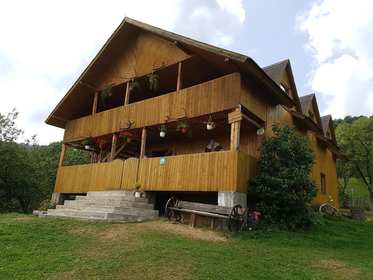 Villa Cabana Suciu Rachitele Exterior foto