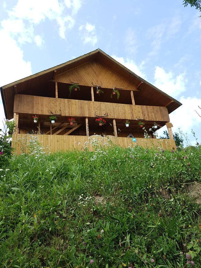 Villa Cabana Suciu Rachitele Exterior foto